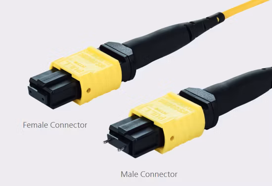 Cable de fibra óptica del tronco de Ofnp Ofnr del puente MPO del Patchcord de la fibra de la élite del solo modo